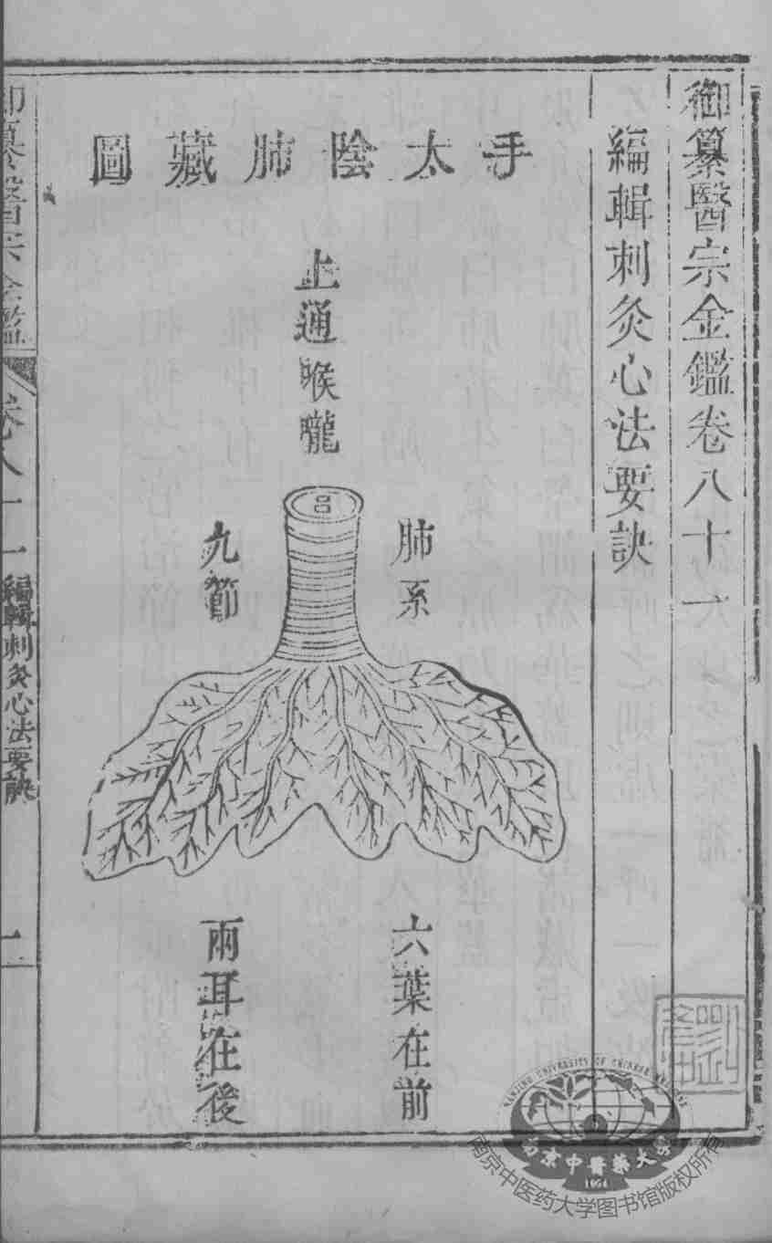 医宗金鉴  卷81-82